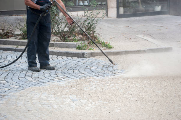 Animal Enclosure Cleaning in West Salem, WI